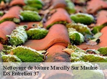 Nettoyage de toiture marcilly-sur-maulne-37330 DS Entretien 37