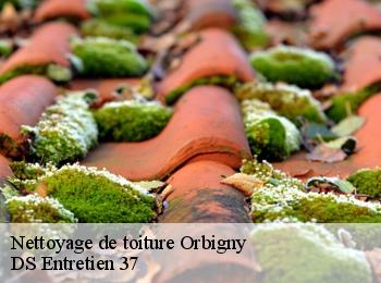 Nettoyage de toiture  orbigny-37460 DS Entretien 37