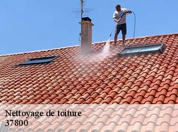 Nettoyage de toiture 37800