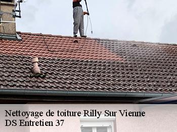 Nettoyage de toiture 37220