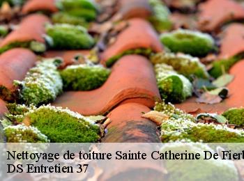 Nettoyage de toiture  sainte-catherine-de-fierbois-37800 DS Entretien 37
