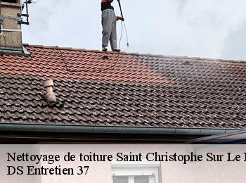Nettoyage de toiture 37370
