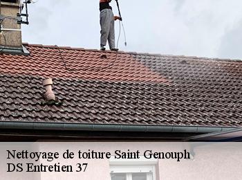 Nettoyage de toiture 37510
