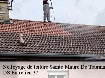 Nettoyage de toiture 37800