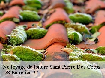 Nettoyage de toiture saint-pierre-des-corps-37700 DS Entretien 37