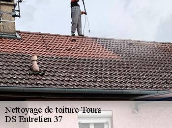 Nettoyage de toiture 37000