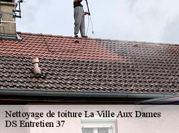 Nettoyage de toiture 37700