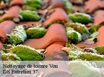 Nettoyage de toiture vou-37240 DS Entretien 37